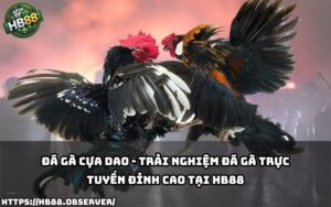 Khám phá sân chơi đá gà cựa dao online siêu kịch tính, chỉ có tại nhà cái uy tín HB88