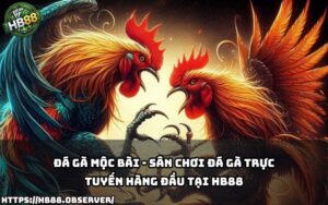 Tham gia đá gà mộc bài đỉnh cao cùng HB88 – Sân chơi uy tín, tỷ lệ ăn cực hấp dẫn