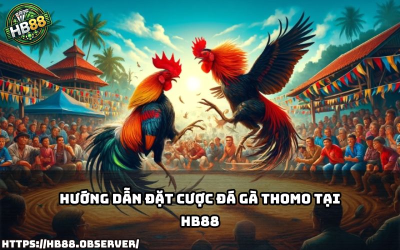 Xem ngay cách đặt cược Đá Gà Trực Tiếp Thomo tại HB88 – dễ chơi, dễ trúng, cực kỳ hấp dẫn Xem ngay cách đặt cược Đá Gà Trực Tiếp Thomo tại HB88 – dễ chơi, dễ trúng, cực kỳ hấp dẫn
